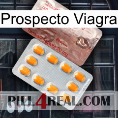 Prospecto Viagra new13